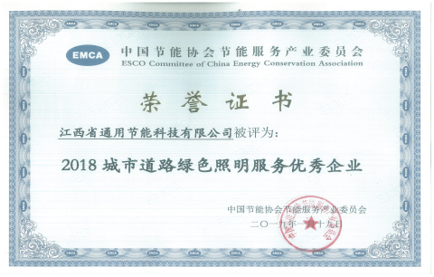 2018城市道路绿色照明服务优秀企业.jpg